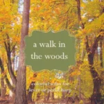 A Walk in the Woods – Kathryn Cater
