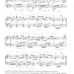 Carolan’s Cap – Harpa Mundi 13