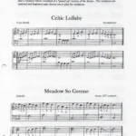 Celtic &amp; Renaissance Songs for the Harpsicle Harp