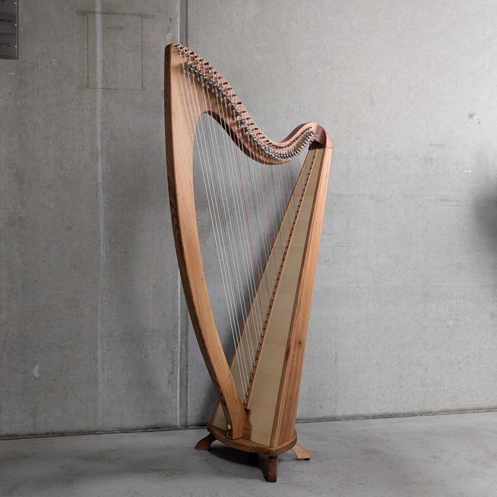 „Elbe“ #525 in Rüster – Camac Darm Besaitung