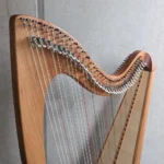 „Elbe“ #525 in Rüster – Camac Darm Besaitung