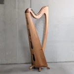 „Elbe“ #525 in Rüster – Camac Darm Besaitung