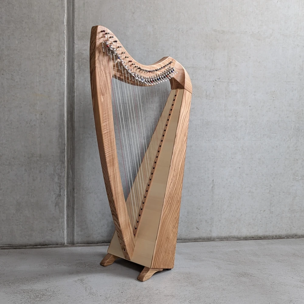 „Jonas“ #501 in Esche – Savarez Carbon Besaitung