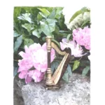 Classics for Small Harp – Kristine Warmhold