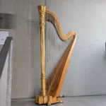 Lyon&amp;Healy Style 23