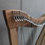 „Michel“ #536 un Nussbaum – Savarez Carbon Besaitung