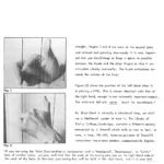 Telyn Dewi – A Manual for a Medieval Harp – Ann Griffiths