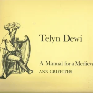 Telyn Dewi - A Manual for a Medieval Harp - Ann Griffiths