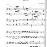 Transcriptions for lever harp – Josh Layne