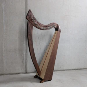 „Troubadour 26S“ #500 in Nussbaum - Carolan Carbon Besaitung