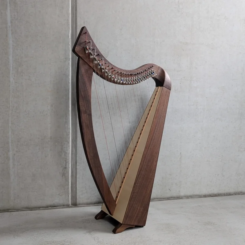 „Troubadour 26S“ #500 in Nussbaum – Carolan Carbon Besaitung