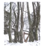 Zwischen den Zeiten – Kristine Warmhold