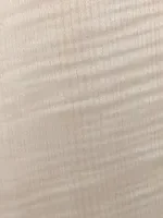 Ahorn