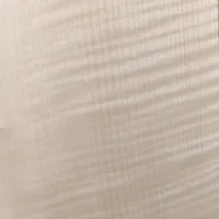 Ahorn