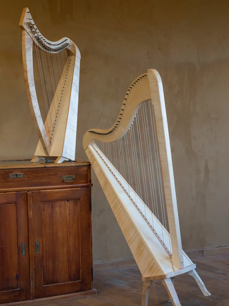 Angebote und Gebrauchtmarkt