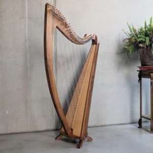 "Cadiz" #303 in Nussbaum, Darmsaiten