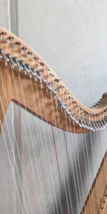 „Cadiz“ #303 in Nussbaum, Darmsaiten