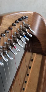 „Cadiz“ #303 in Nussbaum, Darmsaiten